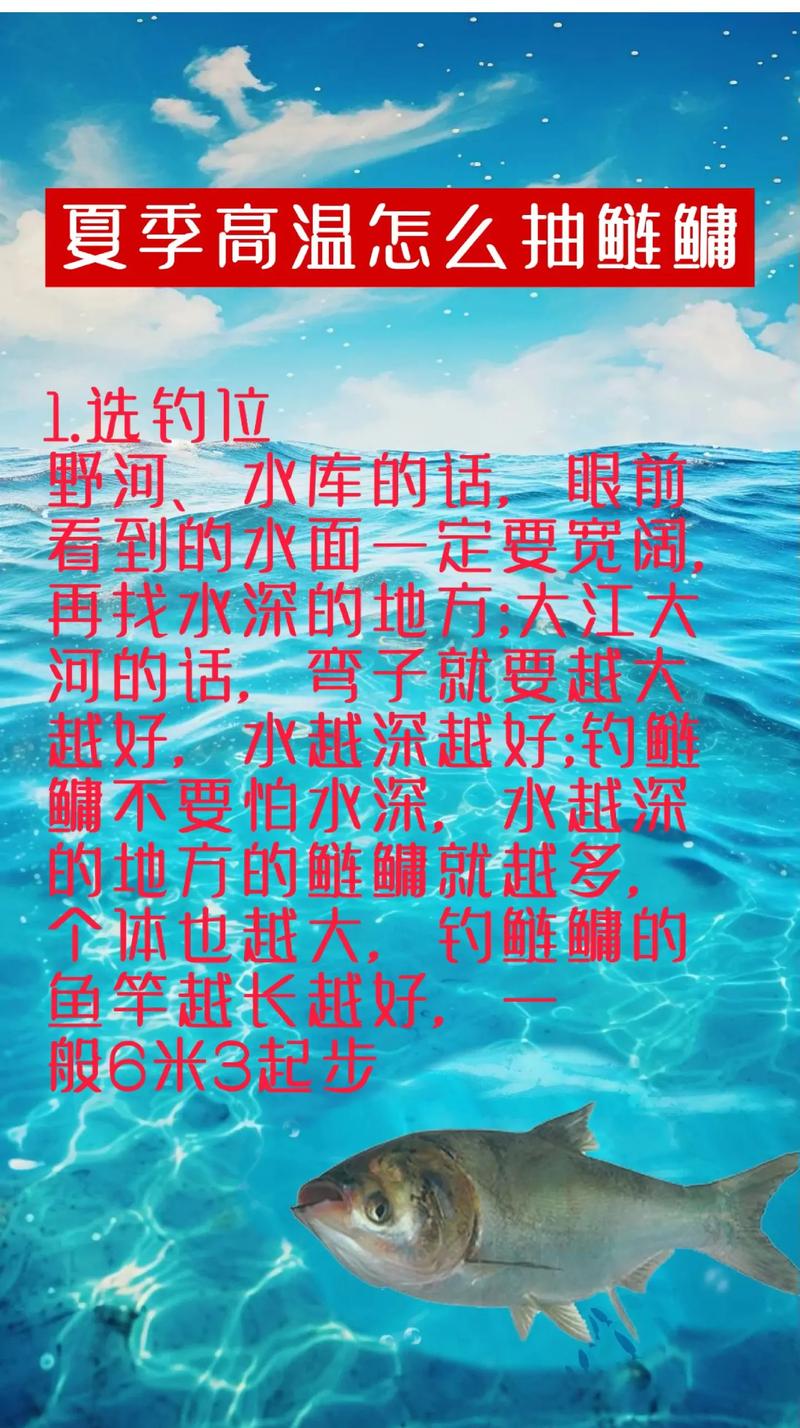 求新手钓鱼技巧,请尽量说清楚点,谢谢了!(满意马上采纳!)