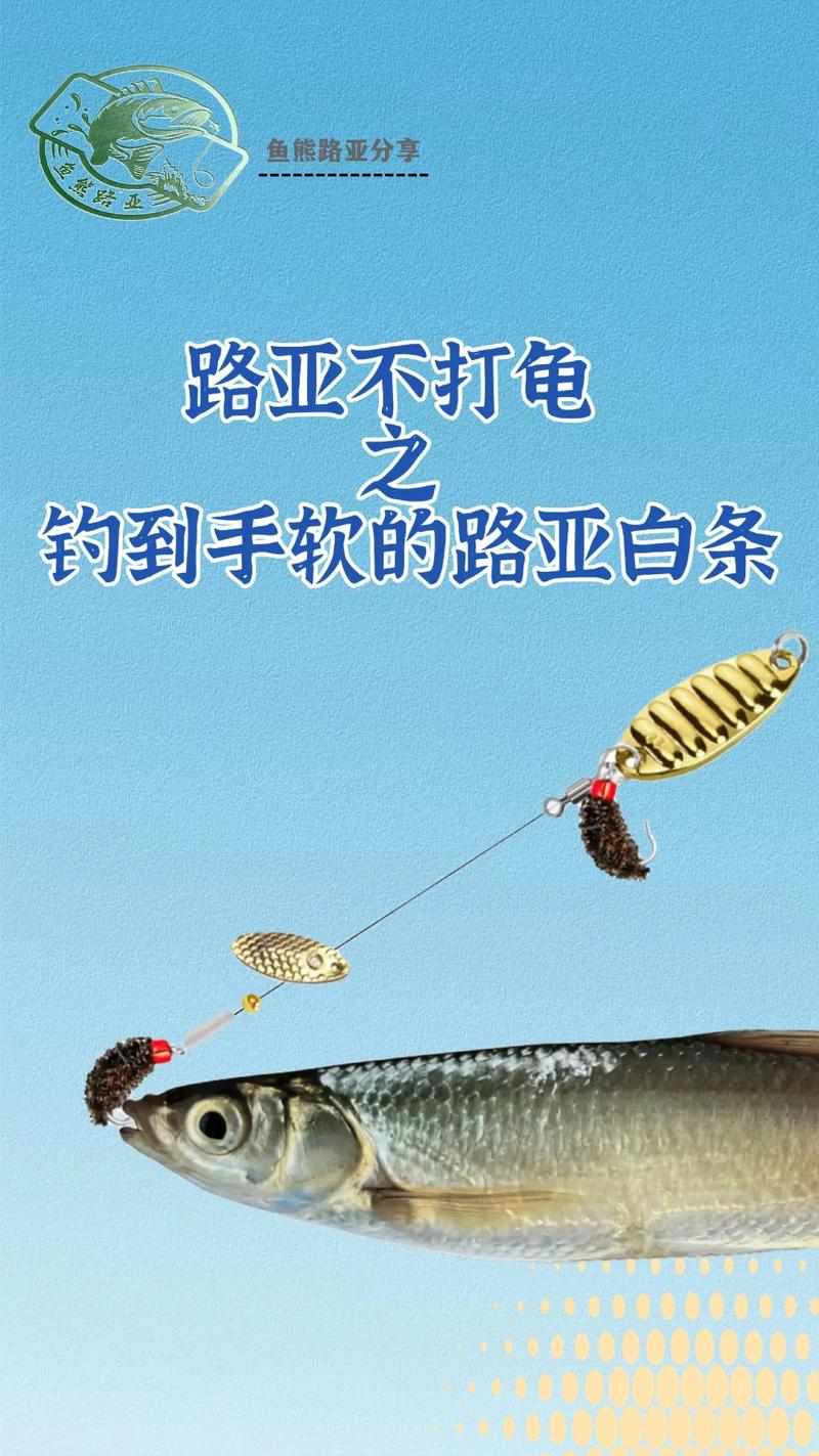 路亚入门(个人实战经验)