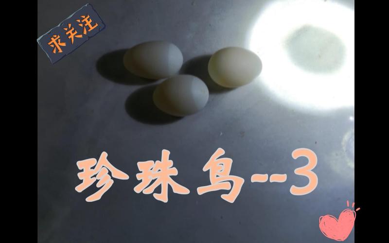 你好,我的珍珠鸟下了9个蛋下第一,二,三个蛋至今已有l0天了,还没出壳...