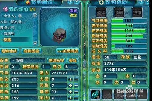 梦幻诛仙都有哪些隐藏任务呀?最好是有变异宠物袋的任务或者隐藏任务...