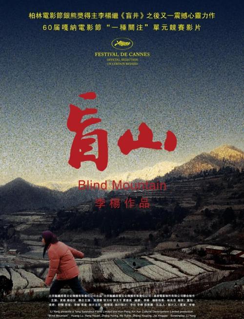 《亲爱的》与《盲山》相比较,哪个更好一些?