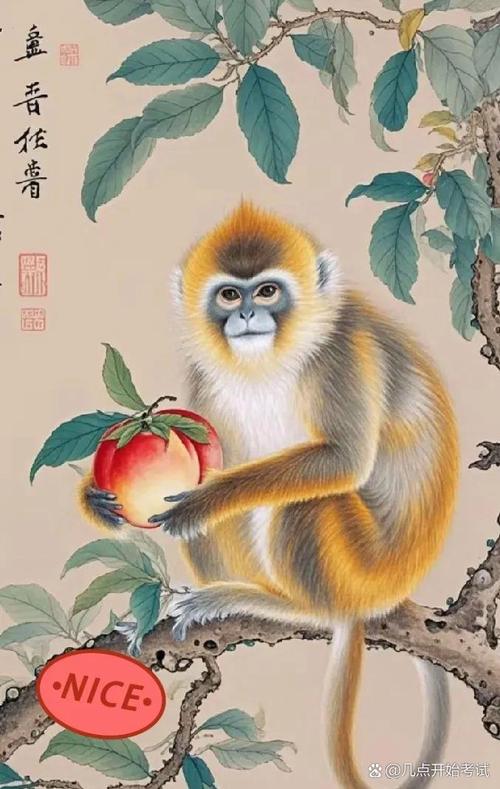 千变万化猴机灵什么生肖