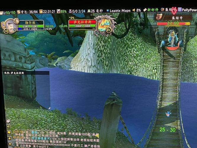 暗黑三的涅法雷姆勇气是被移除了嘛?我打精英怎么不出这个buff?已经70满...