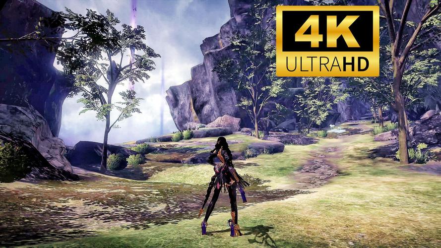 《猎天使魔女》PC版笔记本卡顿掉帧解决方法大全