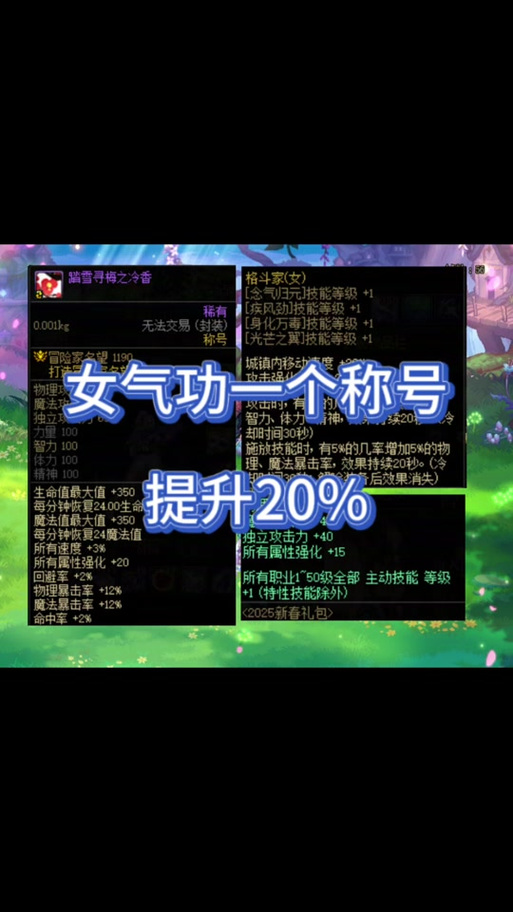 dnf51称号