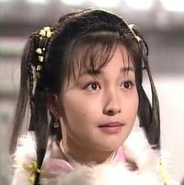 峨嵋派掌门人