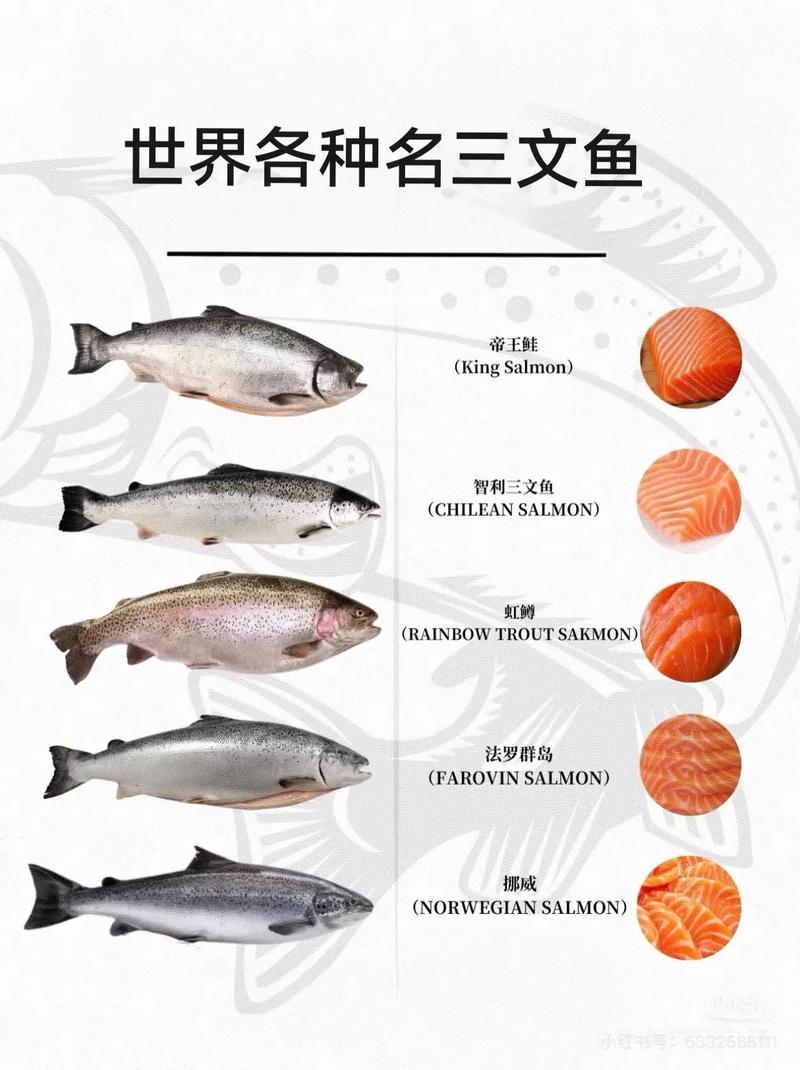 [转载]留学移民·从工作签证说起--三文鱼三吃(10种北