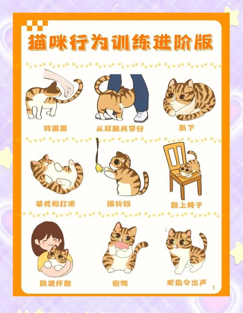 如何用最少步数三步围住神经猫?