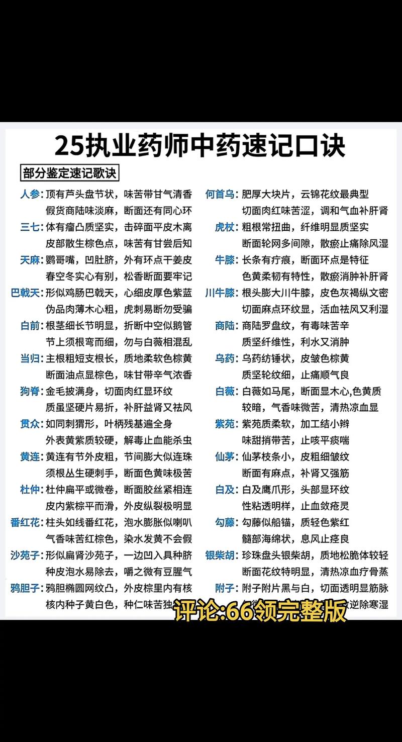 桃花源记药师怎么加属性点,说的具体点,有人说全敏,各位大神帮忙解释下...