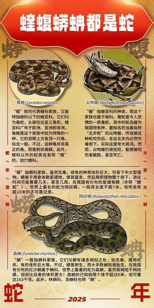 魔兽世界:谜语人的灵蛇获取方法全解析
