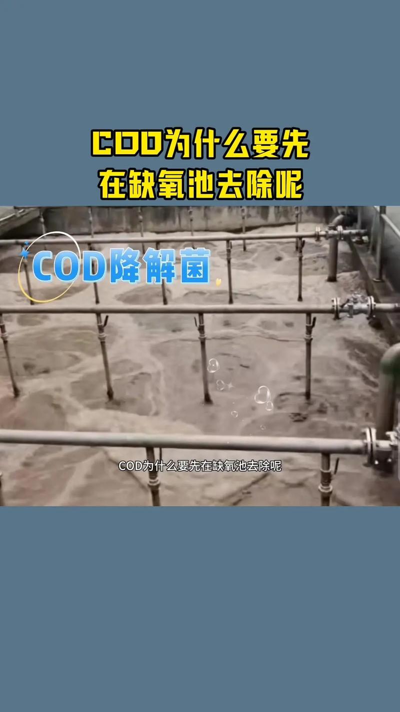 缺氧污染氧怎么处理
