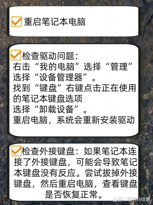 电脑键盘按下键没反应