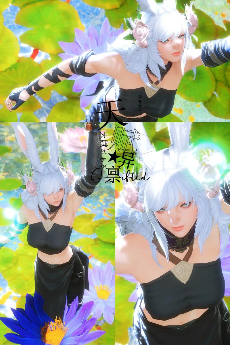 ff14截图保存在哪