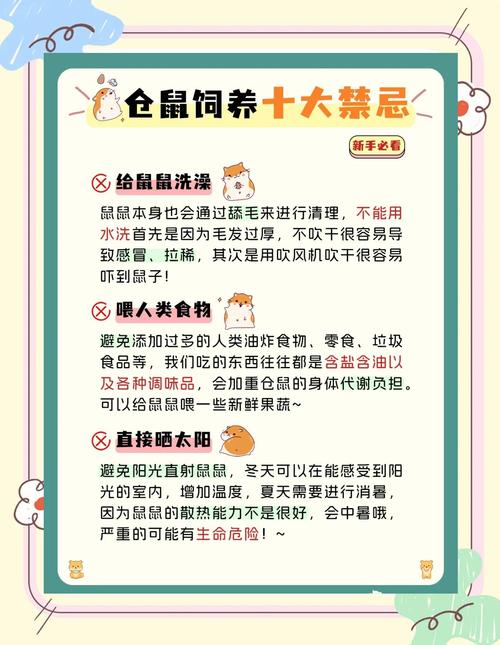 关于仓鼠(布丁)的喂养问题