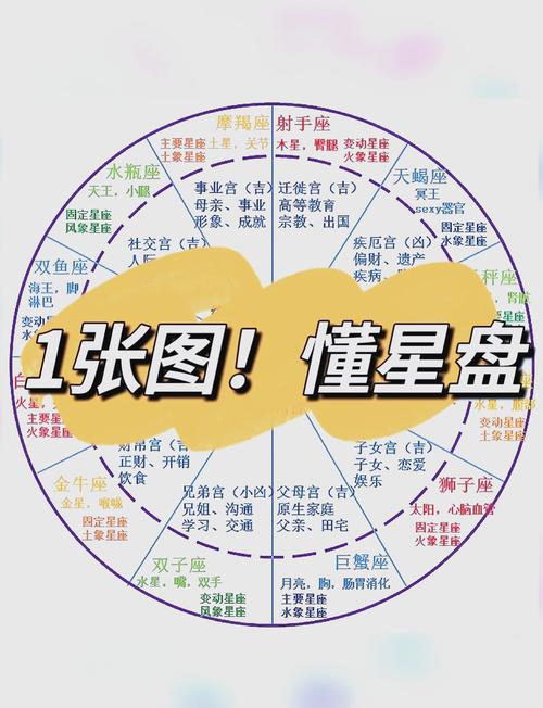 热血海贼王星盘详解:掌握星盘的秘密力量