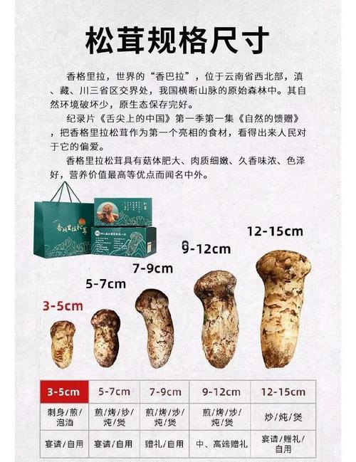 松茸的功效及食用方法