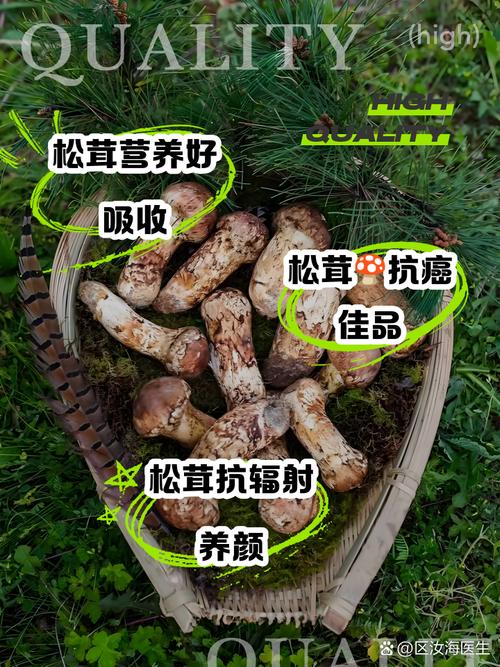 松茸的功效与作用及食用方法