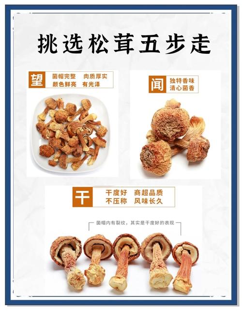 松茸的功效与作用