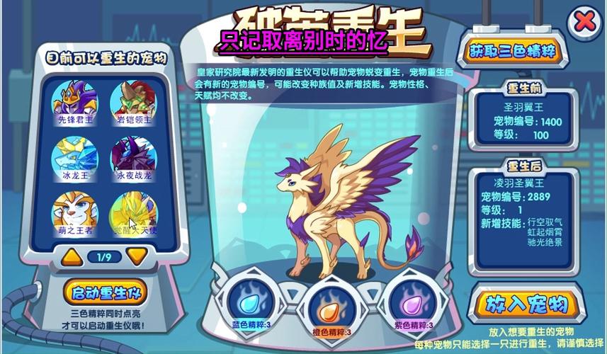 圣羽翼王的技能表