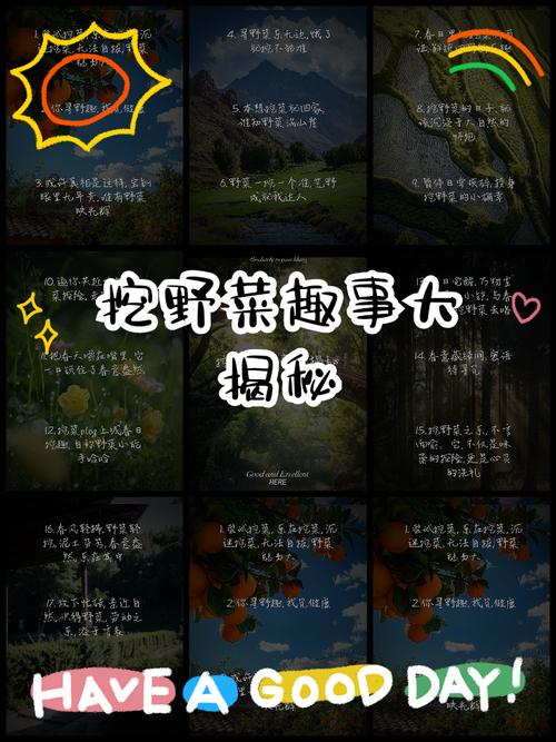 野菜部落的大事件