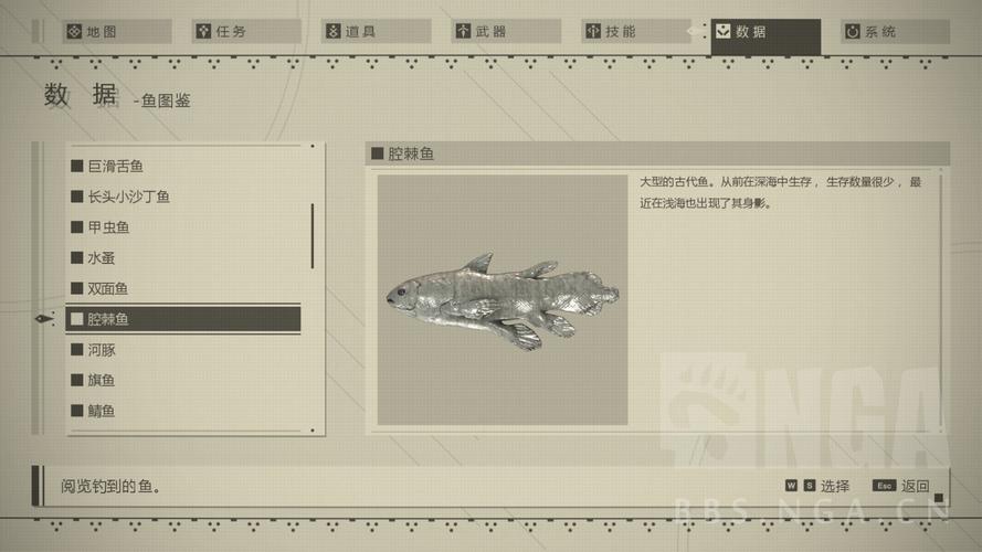 《尼尔机械纪元》钓鱼方法解析