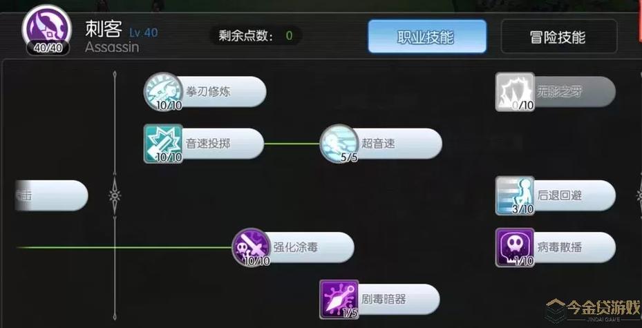 仙境传说RO暴击流刺客怎么加点