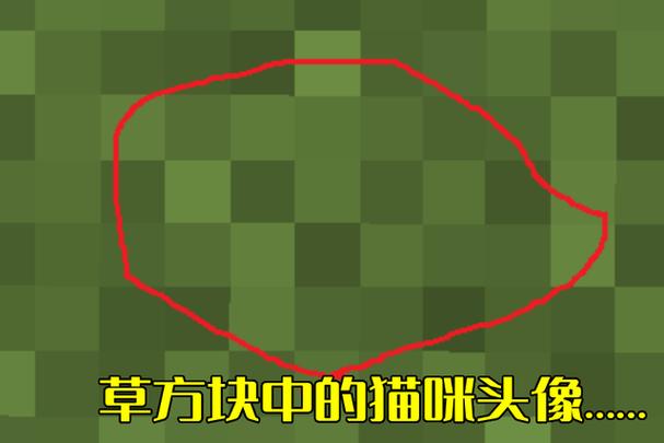 我的世界草方块英文是什么