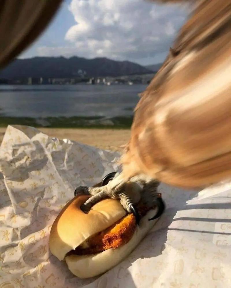 难以意料的动物有那些