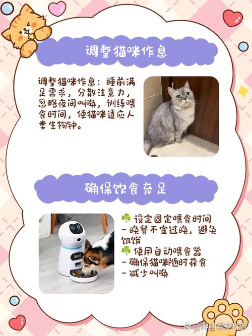 猫咪晚上总是叫个不停怎么办?