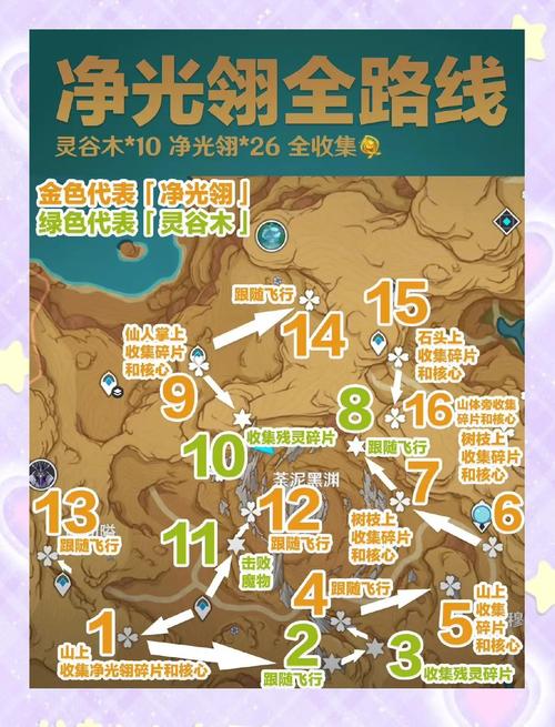 光明大陆植物采集点介绍