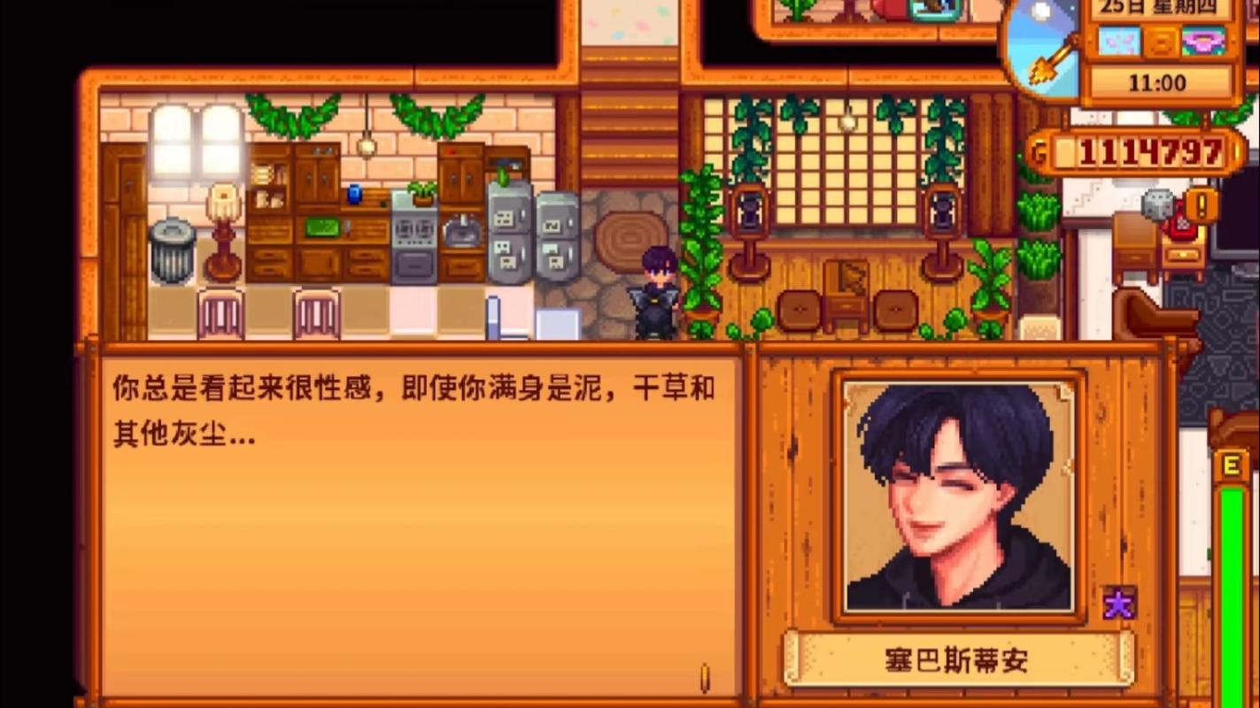 星露谷物语人物美化mod怎么用
