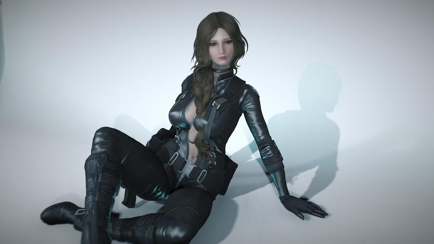 辐射4预设人物美化mod
