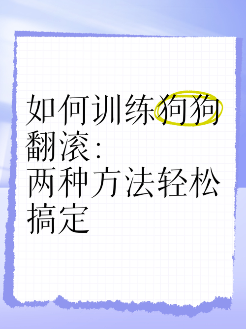 苏格兰牧羊犬怎么训练翻滚