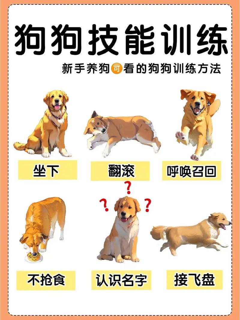 驯服狗狗学习翻滚的技巧