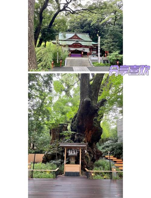 伊豆六个必去景点